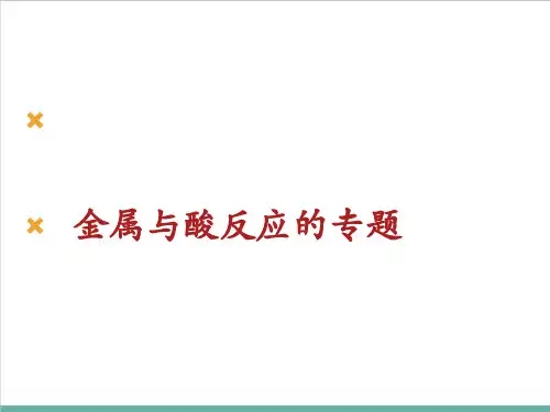 中考专题复习金属与酸反应的专题PPT精品课件