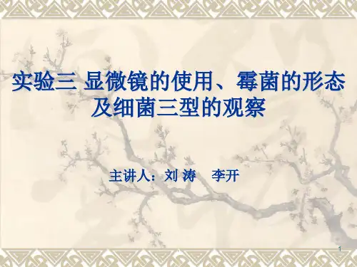 实验二-显微镜的使用-细菌三型的观察-霉菌的形态观察-刘演示文稿