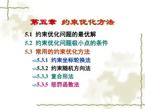 第五章约束优化方法
