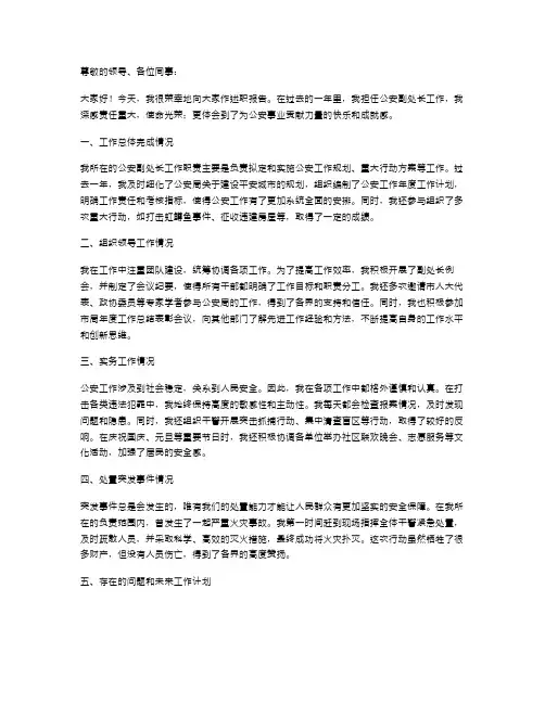 公安副处长述职报告范文