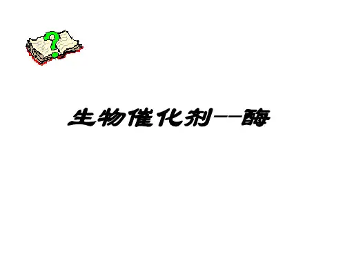 沪科版生物高中第一册4.1《生物催化剂酶》课件(共20张PPT)