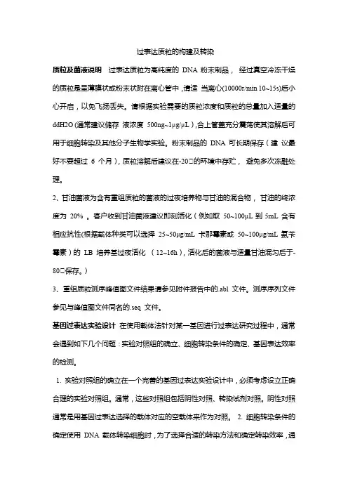 过表达质粒的构建及转染