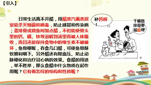 乙酸完整版课件