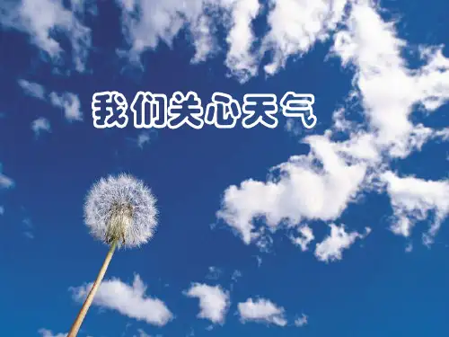 四年级上册科学课件我们关心天气 教科版 (共17页)PPT