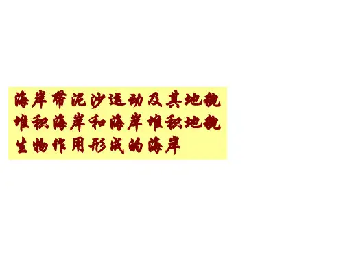 8-2第八章(2)海积地貌
