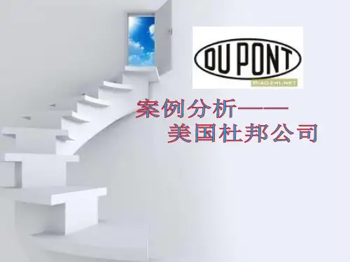 杜邦公司案例分析 (2)