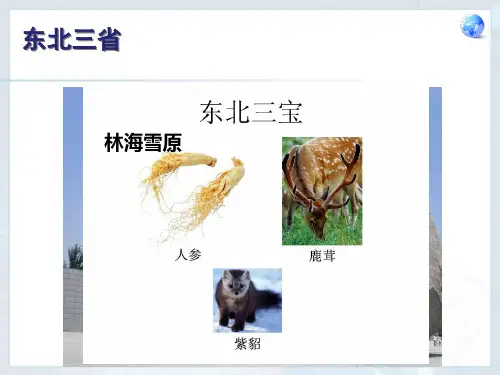 东北三省课件