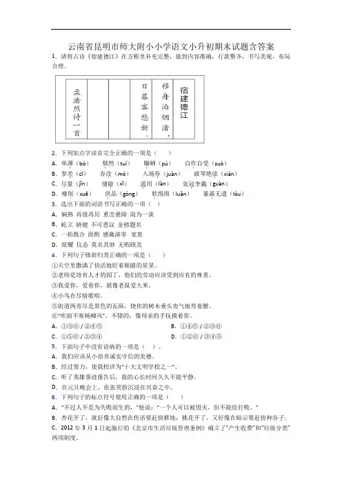 云南省昆明市师大附小小学语文小升初期末试题含答案