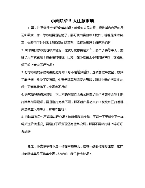 小麦除草5大注意事项