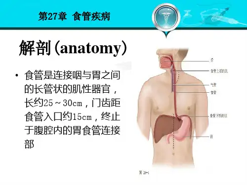 第九版食管疾病ppt课件