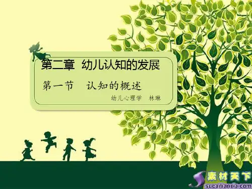 认知的概述