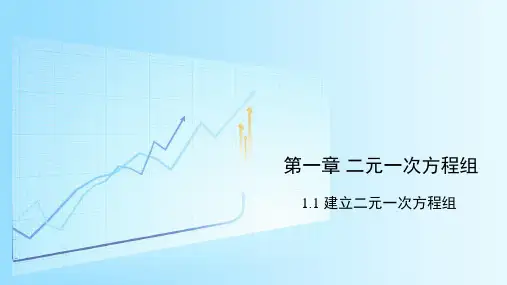 学年湘教版数学七年级下册精品课件：11 建立二元一次方程组(14张)
