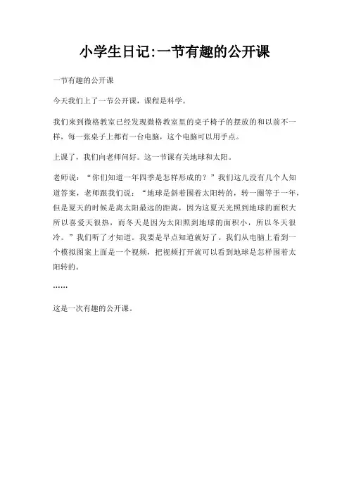 小学生日记一节有趣公开课