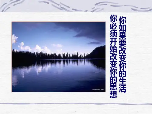 社区工作的理论基础PPT课件
