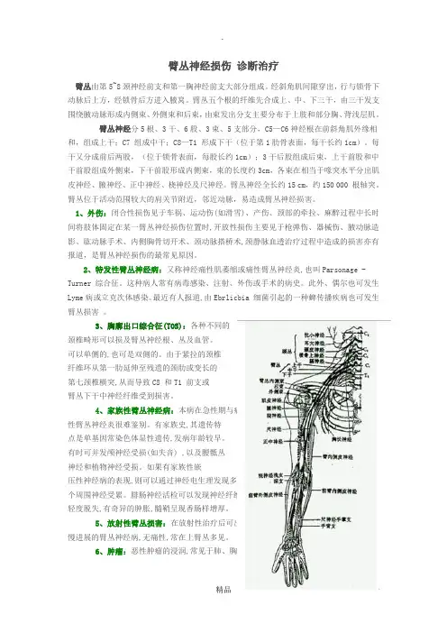 臂丛神经损伤解剖诊断及治疗