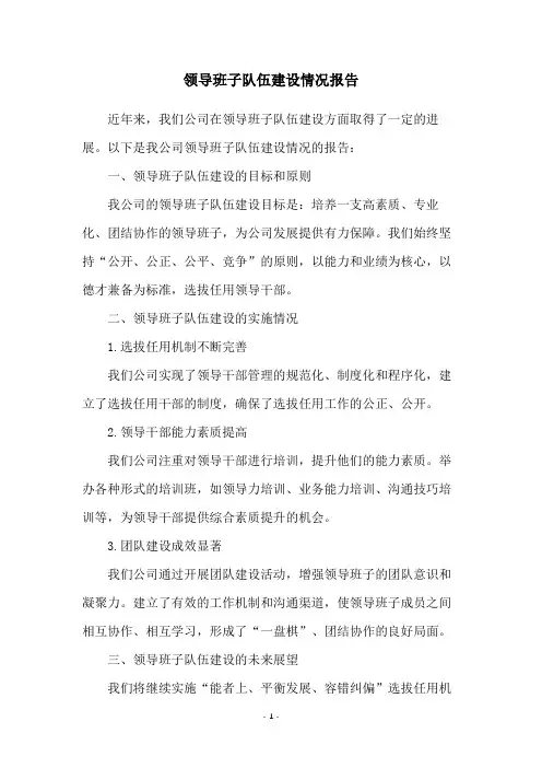 领导班子队伍建设情况报告