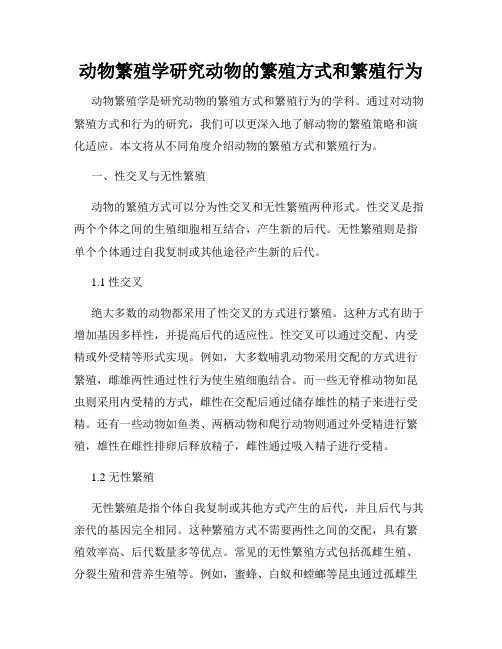 动物繁殖学研究动物的繁殖方式和繁殖行为