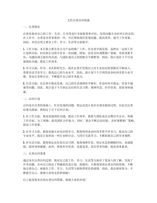文件自查自纠简报