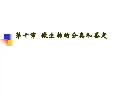 放线菌伯杰氏系统细菌学手册