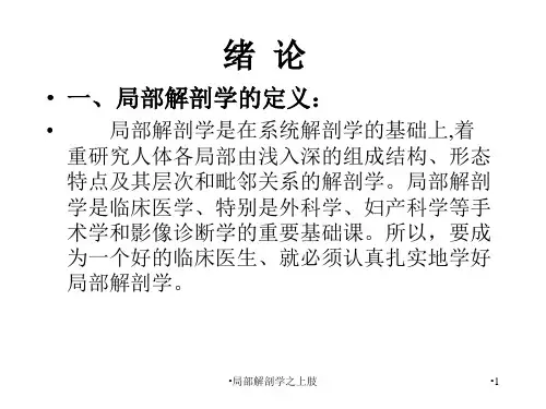 局部解剖学之上肢课件