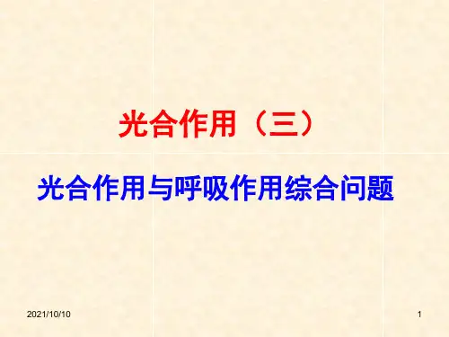 16光合作用(三)光合作用和呼吸作用综合问题(汉水丑生一轮复习课件)