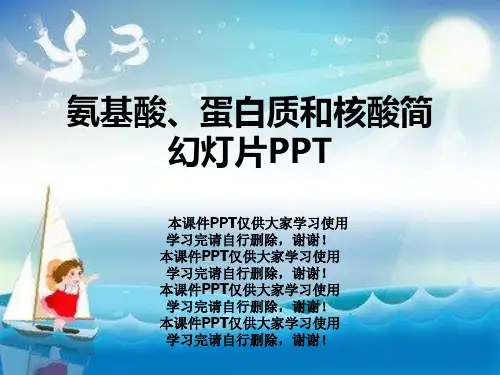 氨基酸、蛋白质和核酸简幻灯片PPT