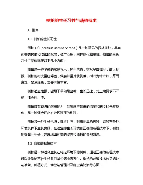 侧柏的生长习性与栽植技术