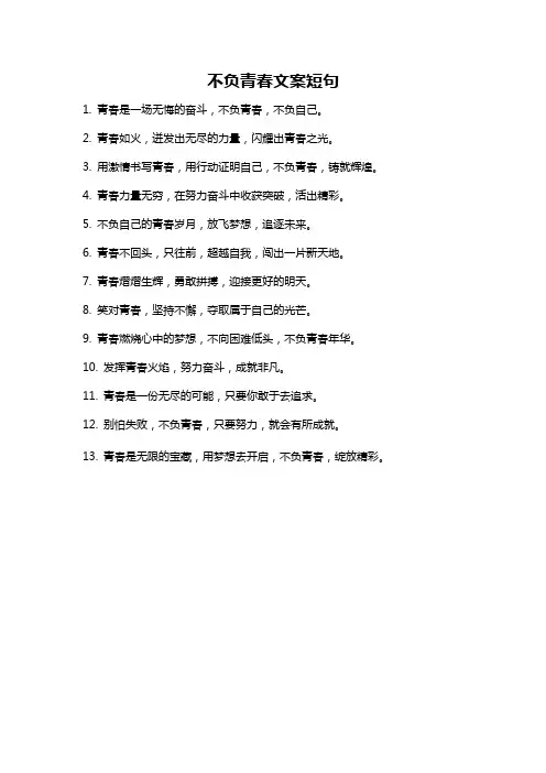 不负青春文案短句