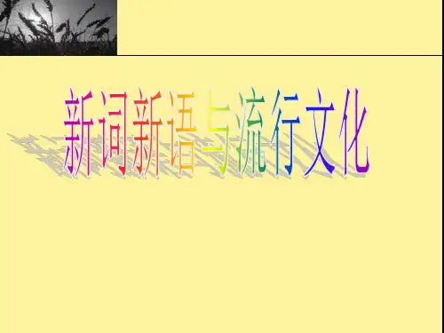《新词新语与流行文化》ppt