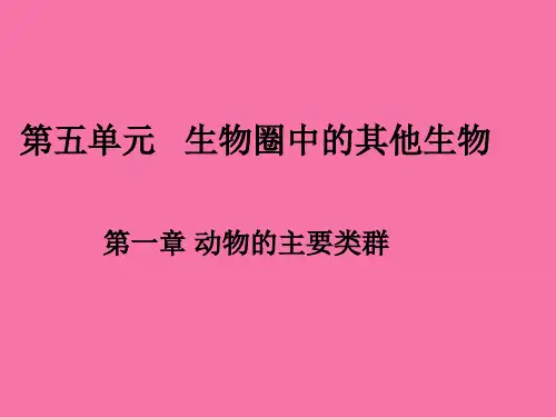 第一章第一节腔肠动物和扁形动物-ppt课件