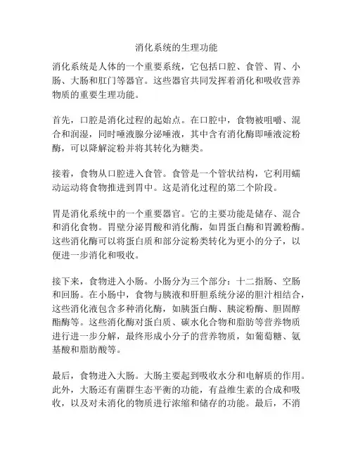 消化系统的生理功能