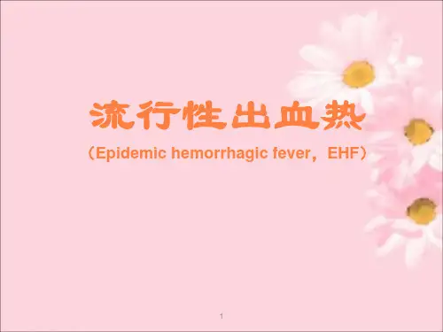 流行性出血热PPT课件