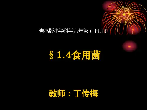4。《食用菌》课件
