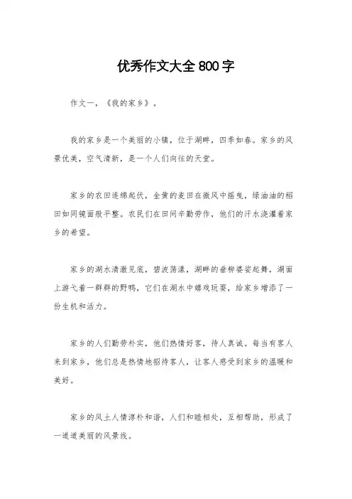 优秀作文大全800字