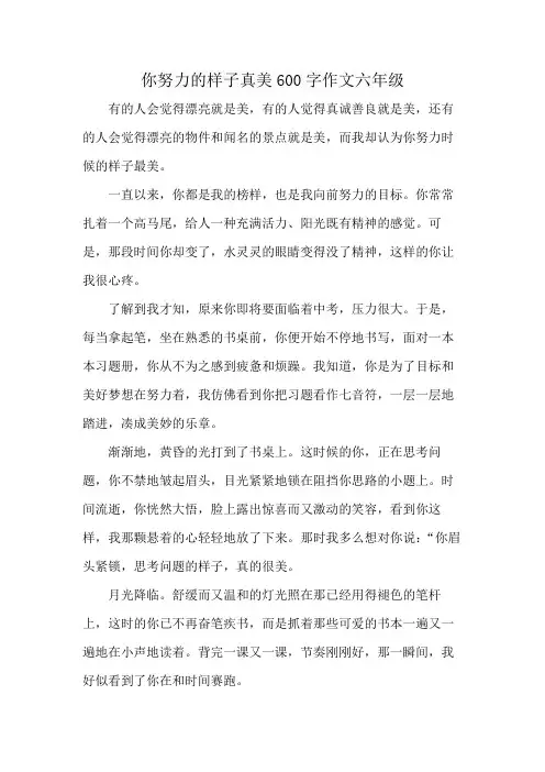 你努力的样子真美600字作文六年级
