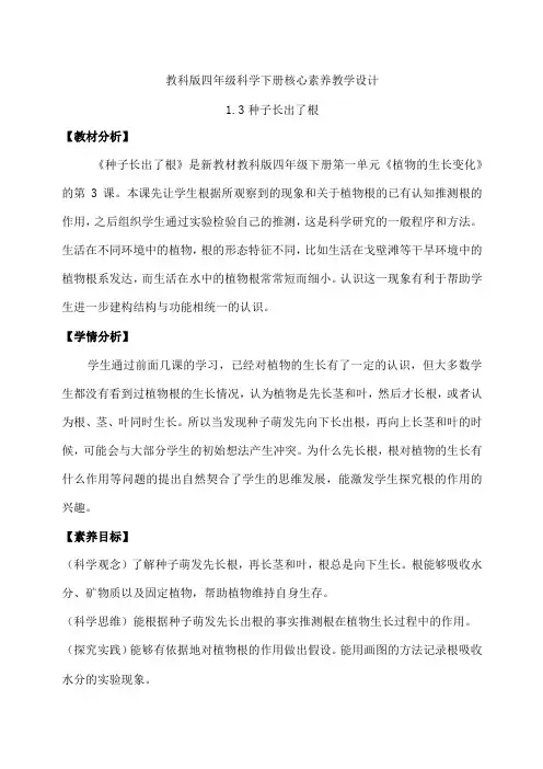 13种子长出了根(教学设计)四年级科学下册(教科版)