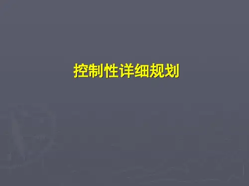 控制性详细规划