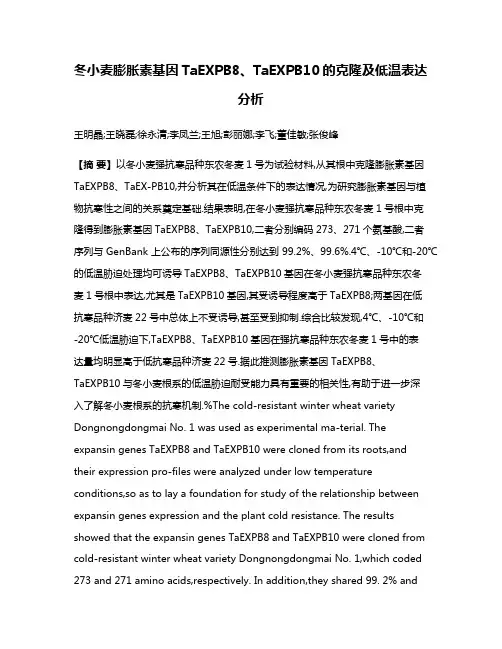 冬小麦膨胀素基因TaEXPB8、TaEXPB10的克隆及低温表达分析