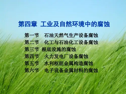 腐蚀与防护概论第四章 工业及自然环境中的腐蚀PPT