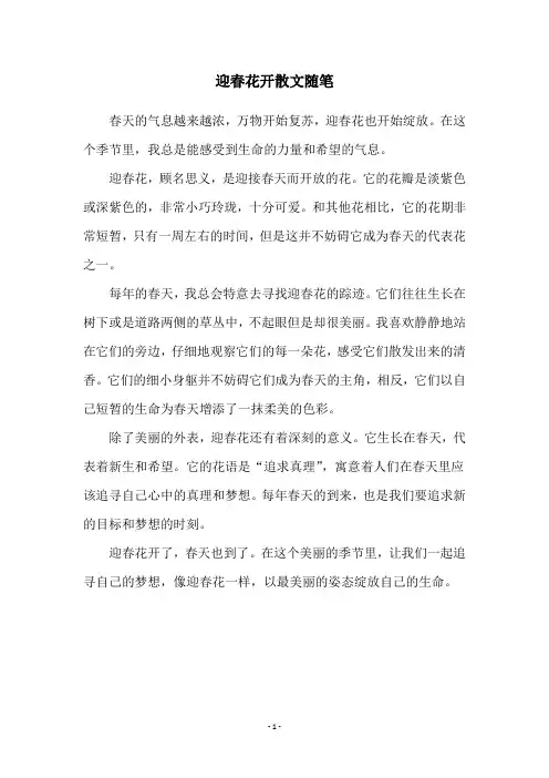 迎春花开散文随笔
