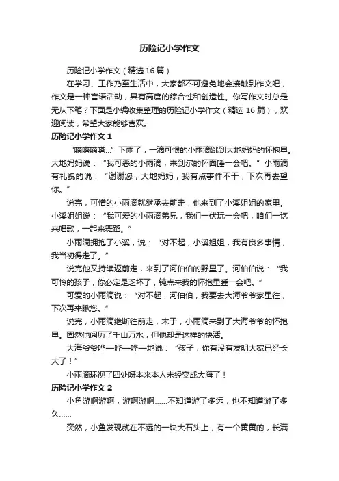 历险记小学作文（精选16篇）