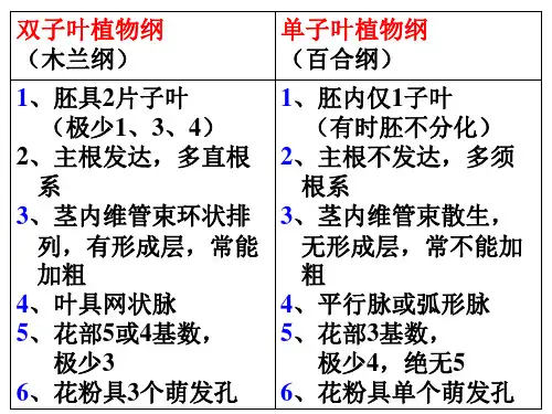 单子叶植物纲(11科)