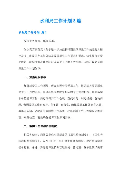 水利局工作计划3篇