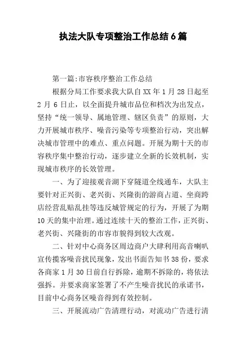 执法大队专项整治工作总结6篇