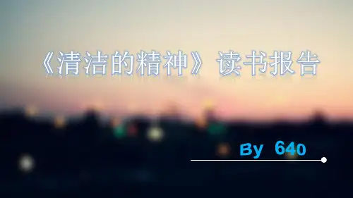 清洁的精神