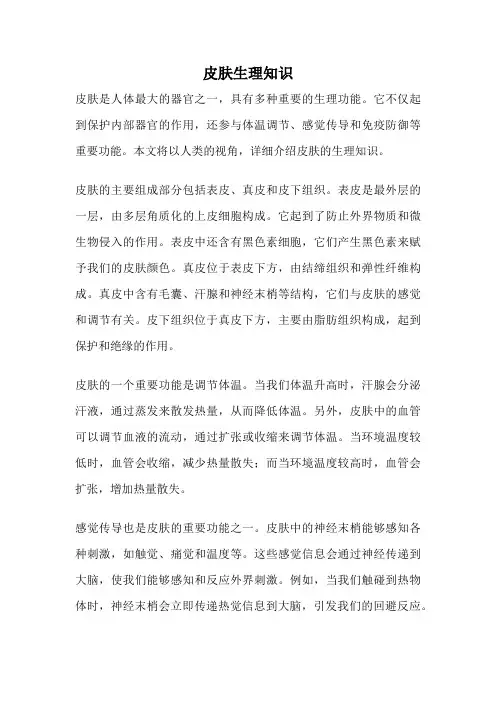 皮肤生理知识