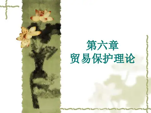 第六章贸易保护理论