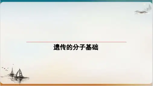 高考生物一轮复习基因的表达ppt