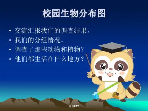 教科版科学六上《校园生物大搜索》PPT课件