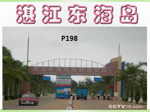 湛江东海岛讲解概要